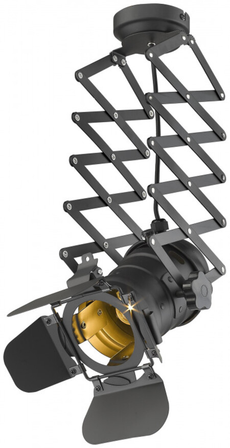 Потолочный светильник лофт WERTMARK WE290.01.007