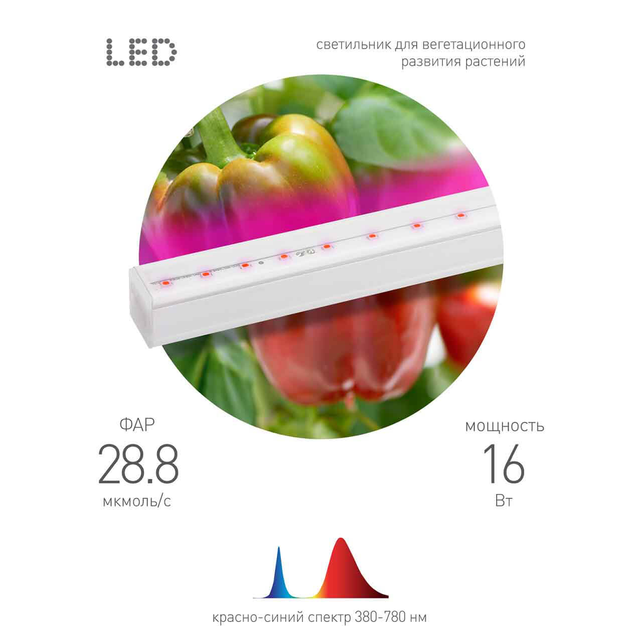 Светильник для растений ЭРА FITO-16W-Т5-N Б0045233