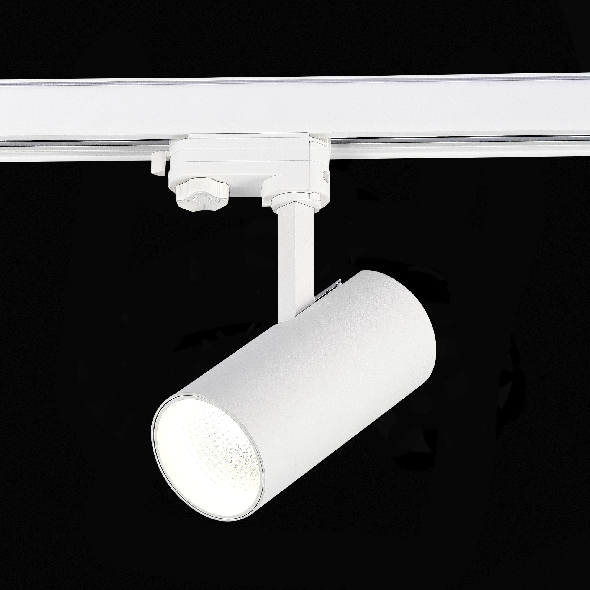 Трековый трехфазный светильник ST Luce ST661.546.20