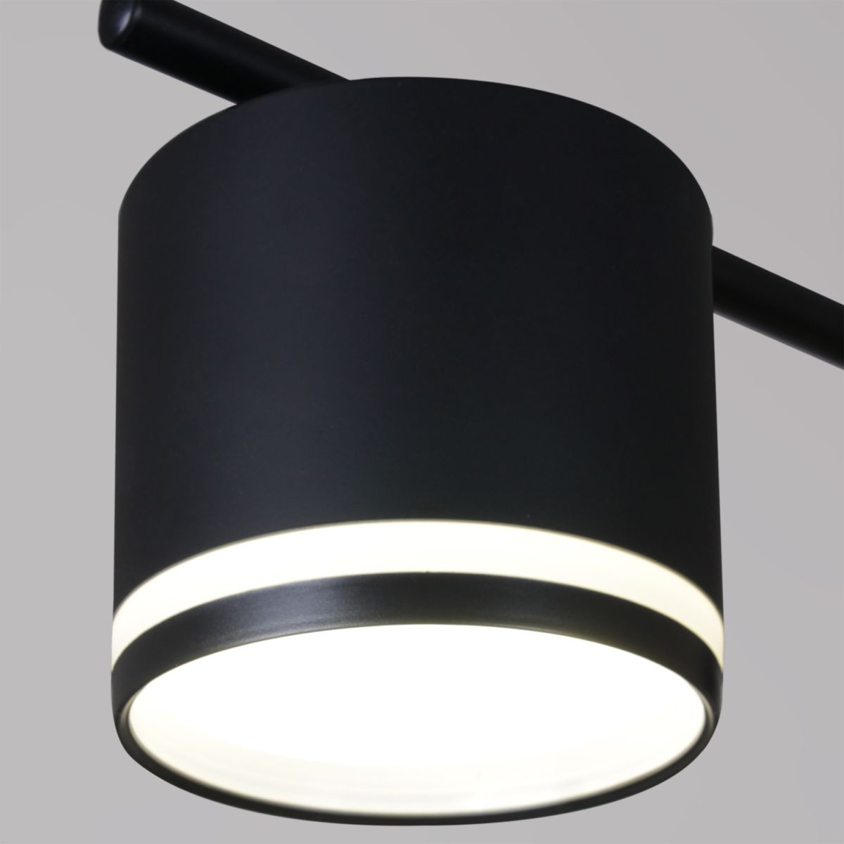 Потолочная люстра Reluce 22008-0.3-08 GX53