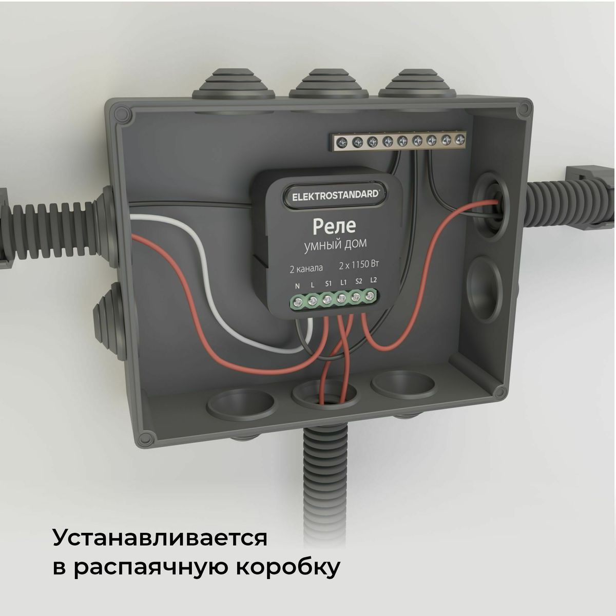 Умное двухканальное реле Elektrostandard 4690389185083 a059326
