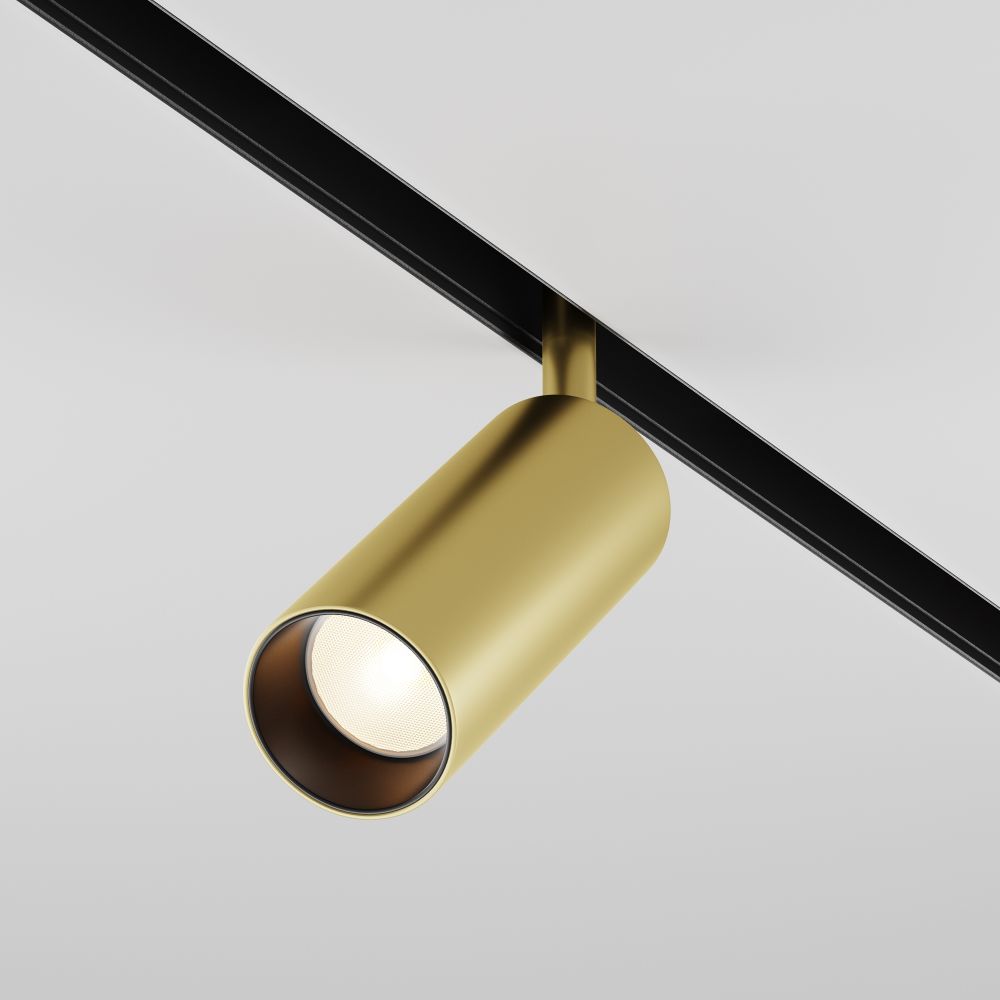 Трековый светильник Maytoni Technical Focus LED TR032-2-12W3K-S-MG