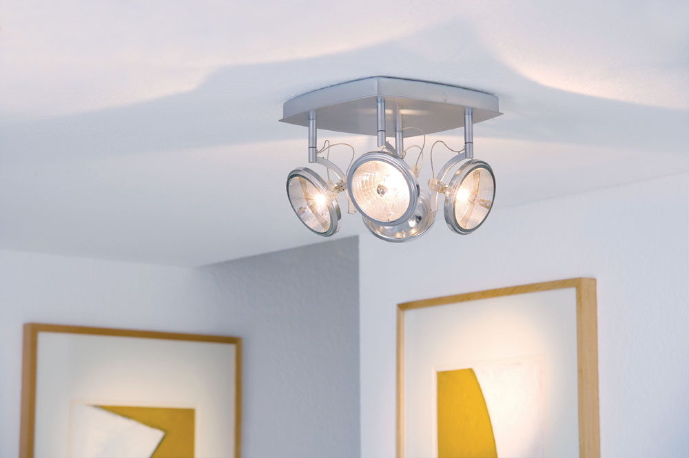 Спот Paulmann Wasabi 66458