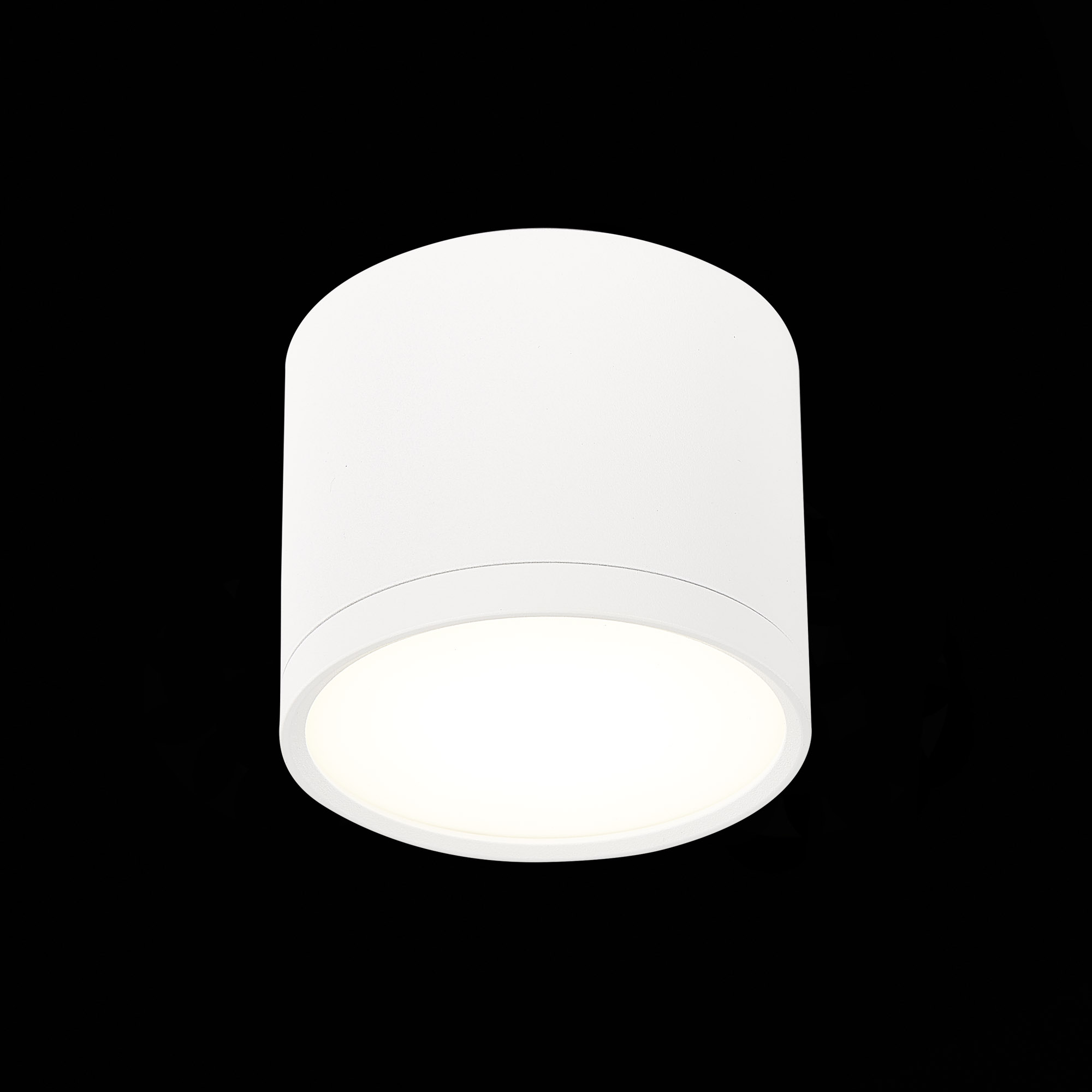 Потолочный светильник ST Luce Rene ST113.542.09