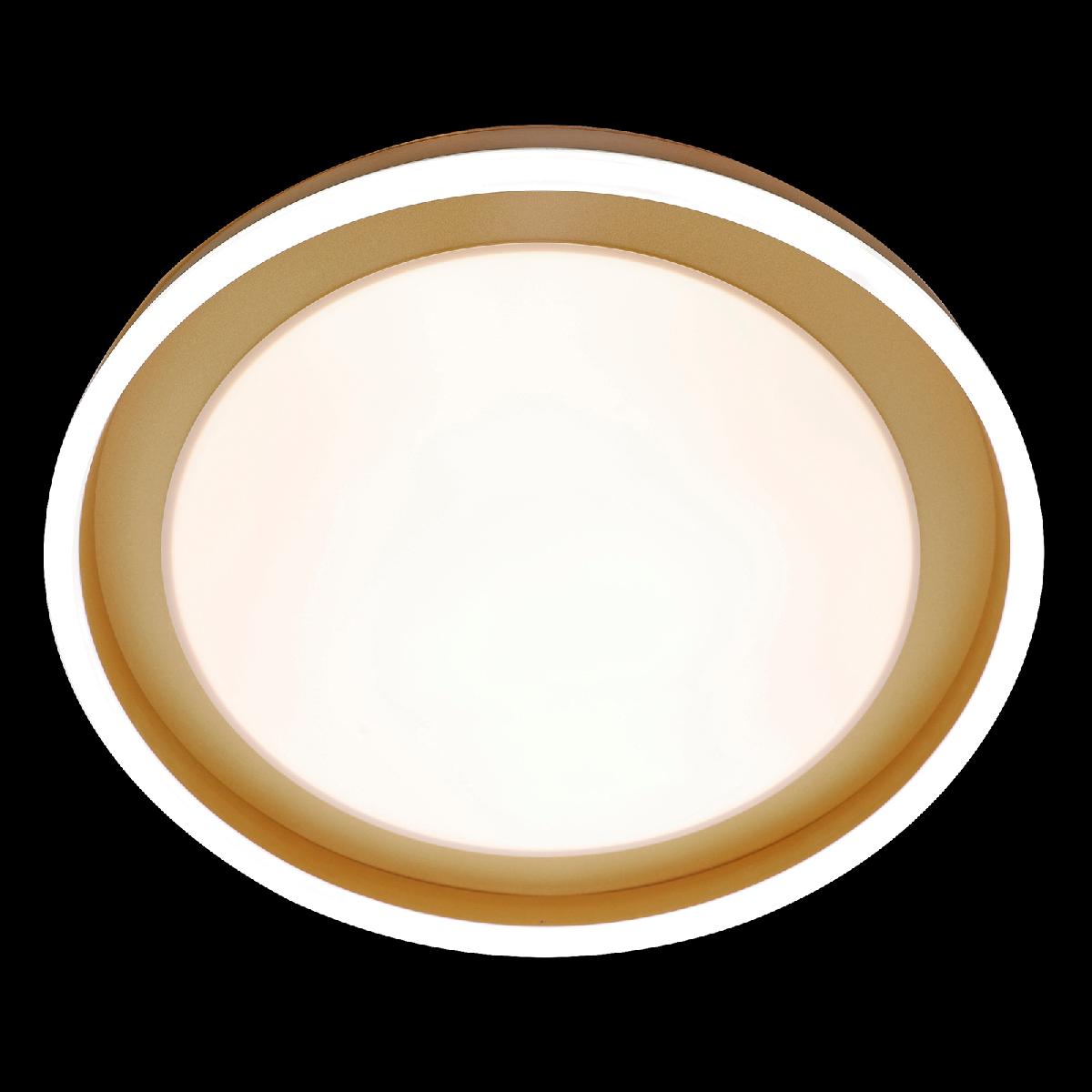 Потолочная люстра Natali Kovaltseva LED LAMPS 81301