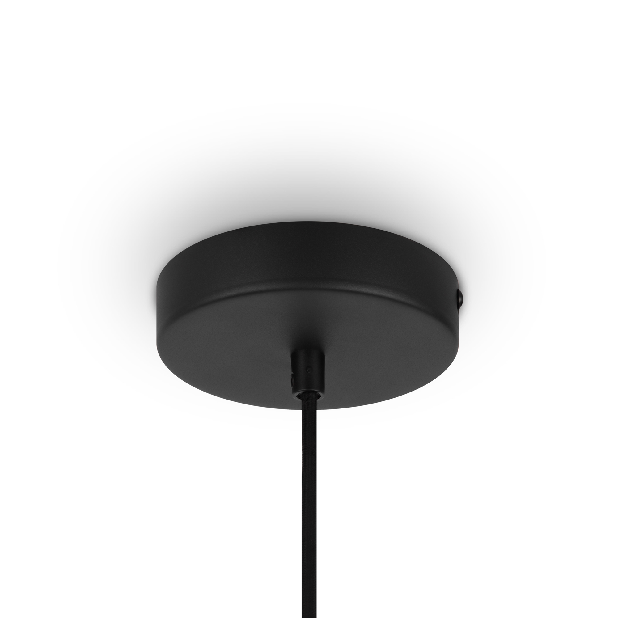 Подвесной светильник Maytoni Roots MOD194PL-01W