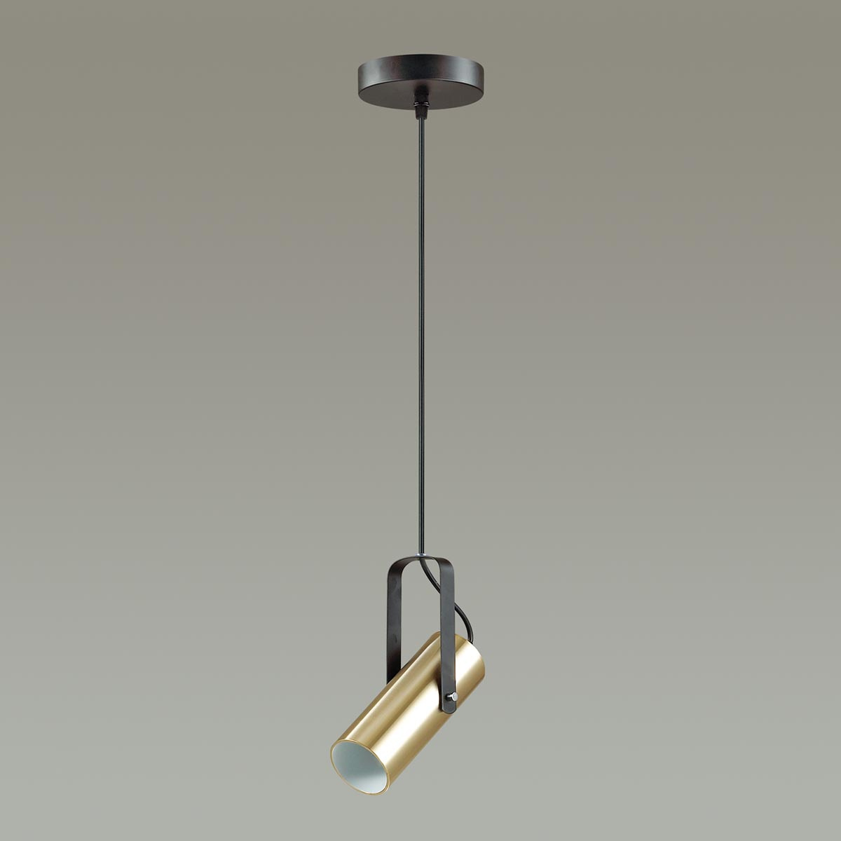 Подвесной светильник Lumion Claire 3714/1