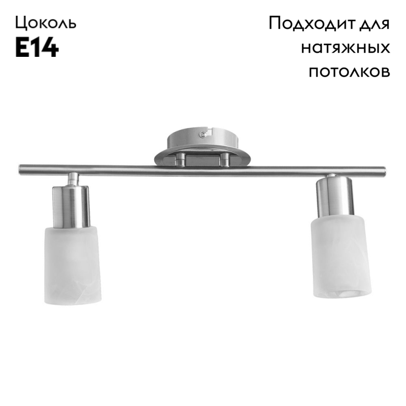 Спот Arte Lamp A4510PL-2SS