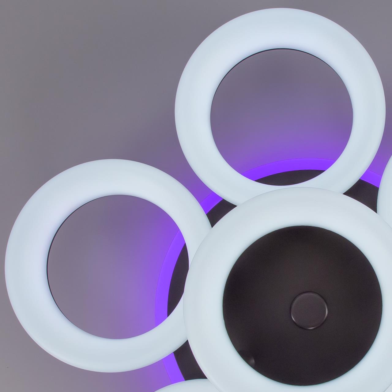 Потолочная люстра Citilux Паркер Смарт CL225A165E в Москве