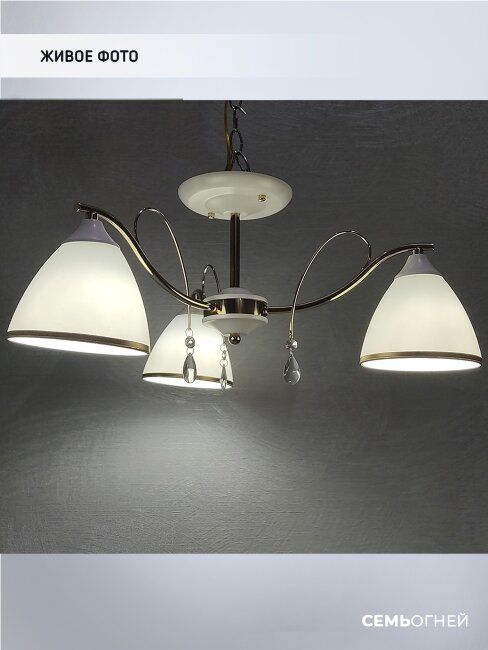 Люстра на штанге Wedo Light Dzintars WD3523/3C-WT-FGD-WT