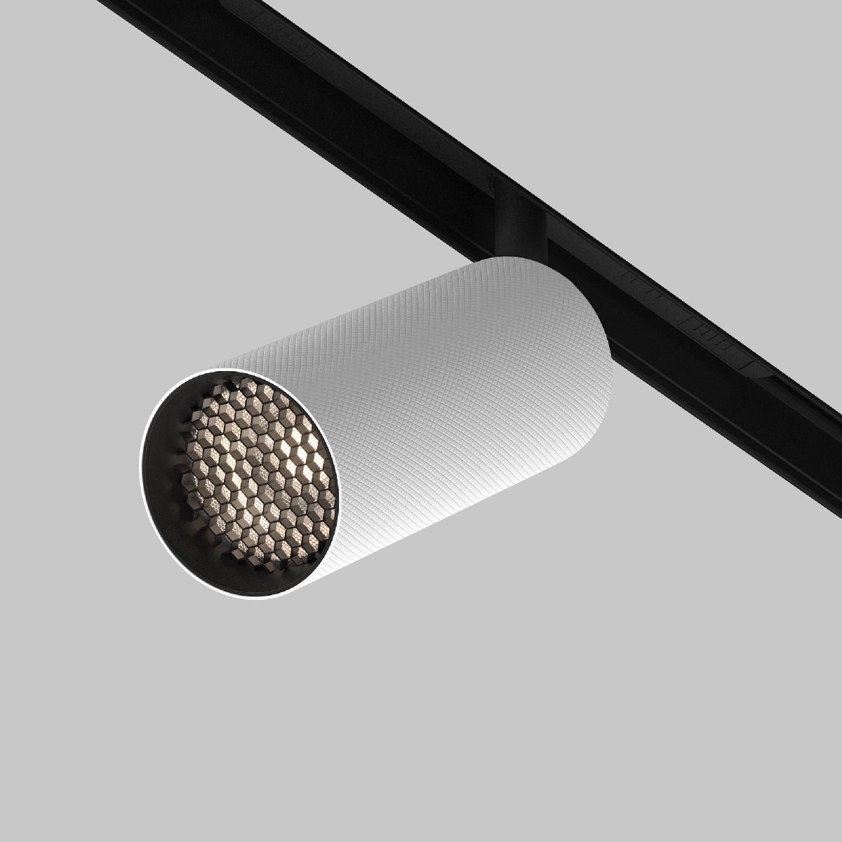 Трековый магнитный светильник Maytoni Artisan TR097-2-12W4K-M-BW