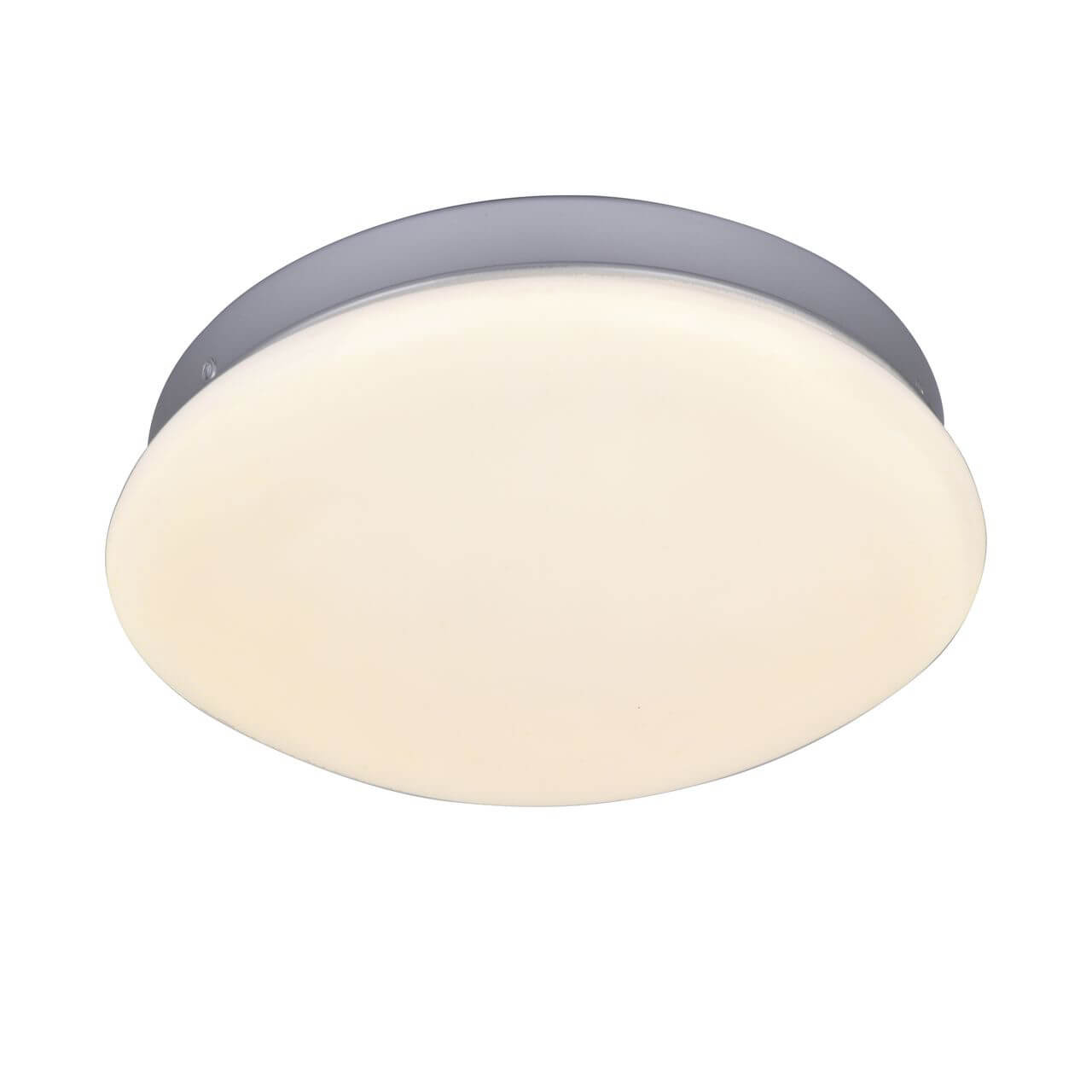 Потолочный светодиодный светильник F-Promo Ledante 2467-1C