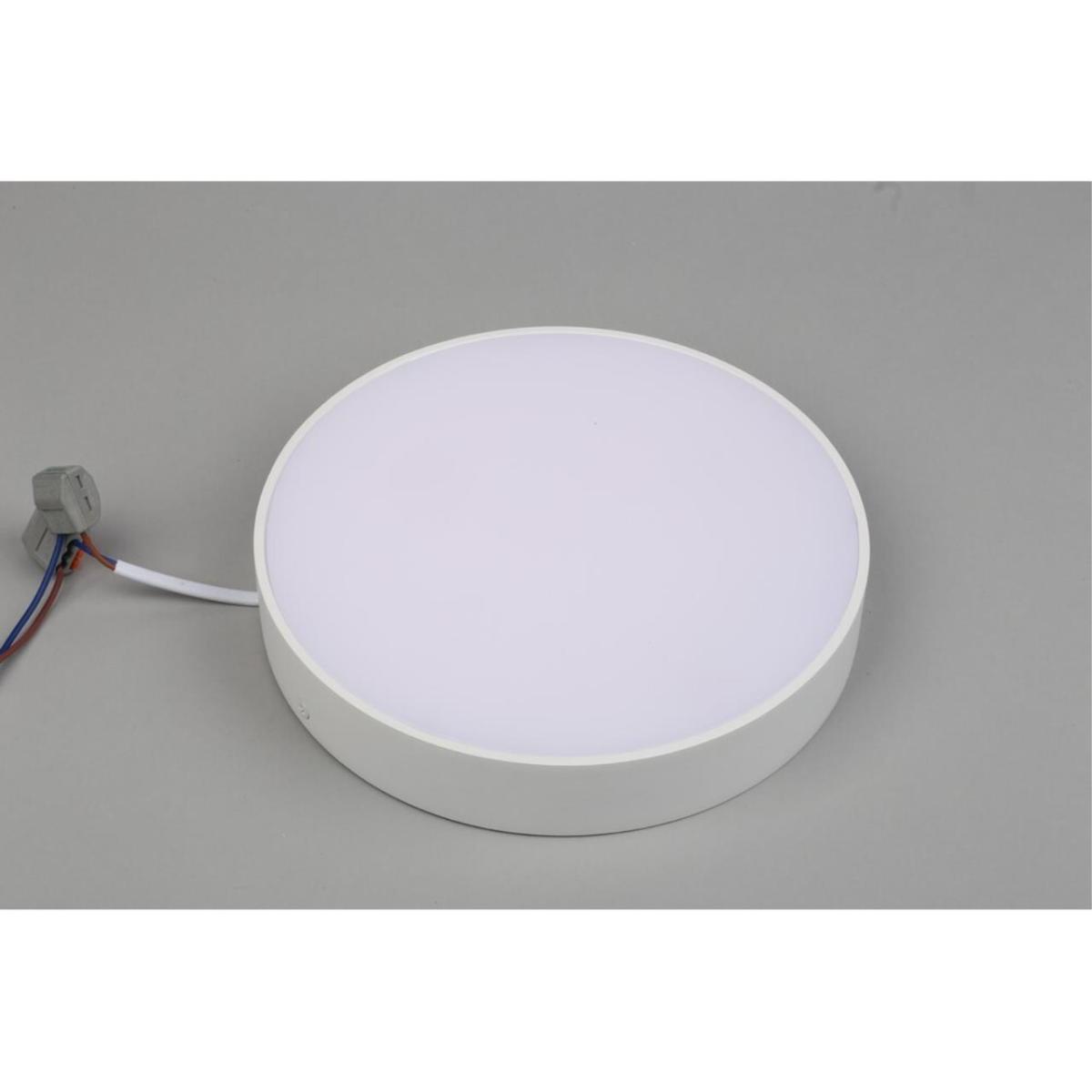 Потолочный светильник Aployt Evon APL.0113.09.24