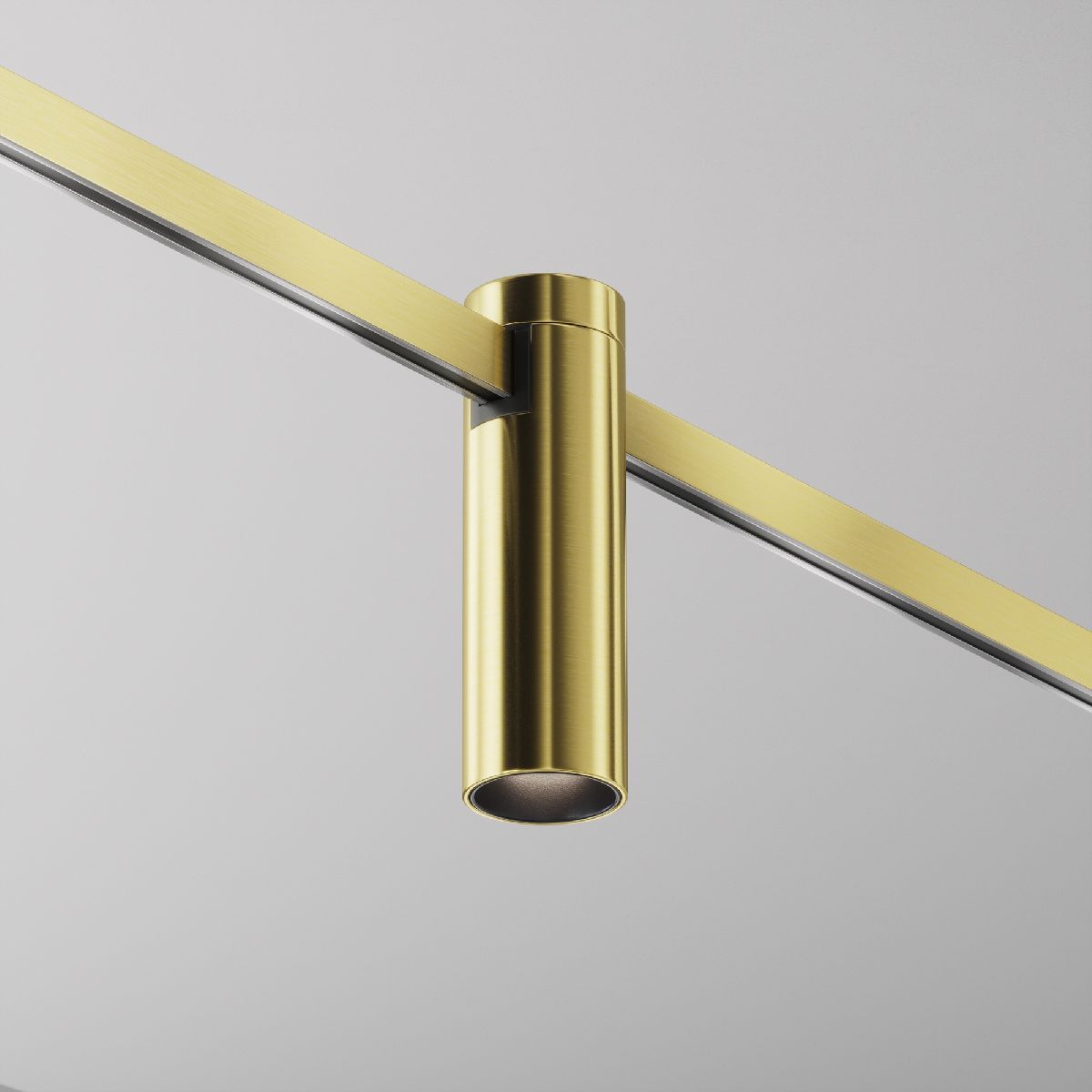 Трековый магнитный светильник Maytoni Focus Led TR143-1-5W4K-W-BS