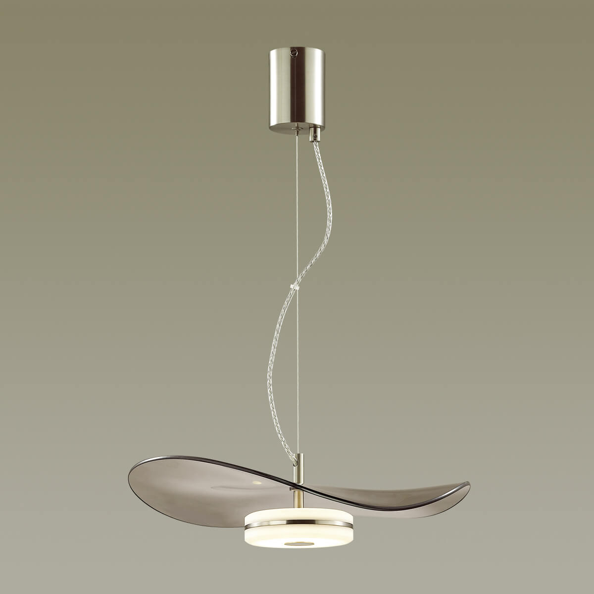 Подвесной светильник Odeon Light FLUENT 4858/13L