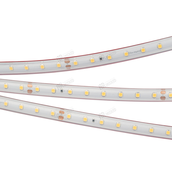 Светодиодная лента Arlight RTW 2-5000 2835 028531