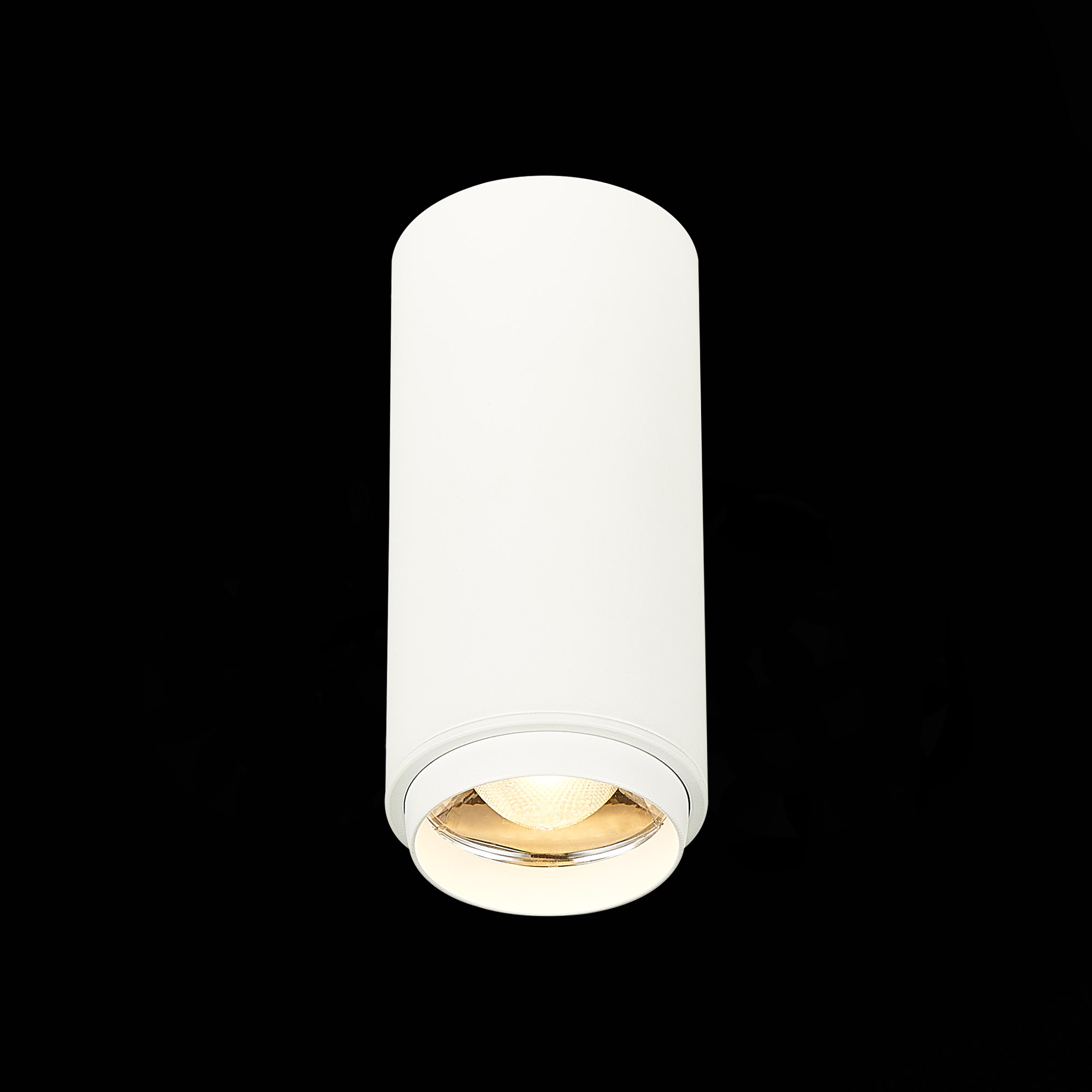 Потолочный светильник ST Luce Zoom ST600.532.10