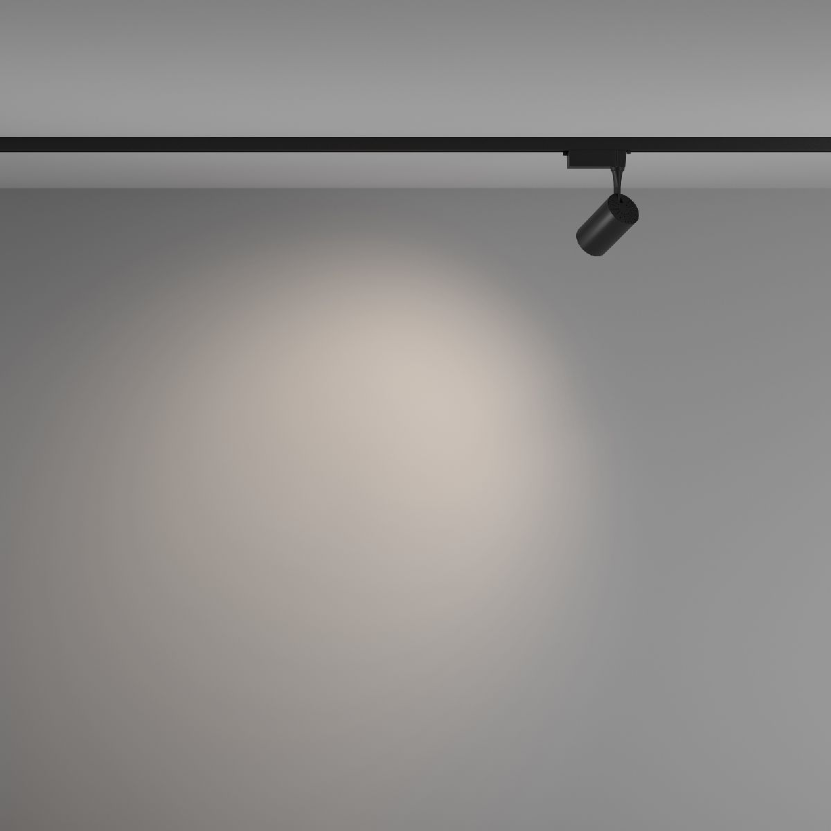 Трековый светильник Maytoni Technical Vuoro TR003-1-6W4K-W-B