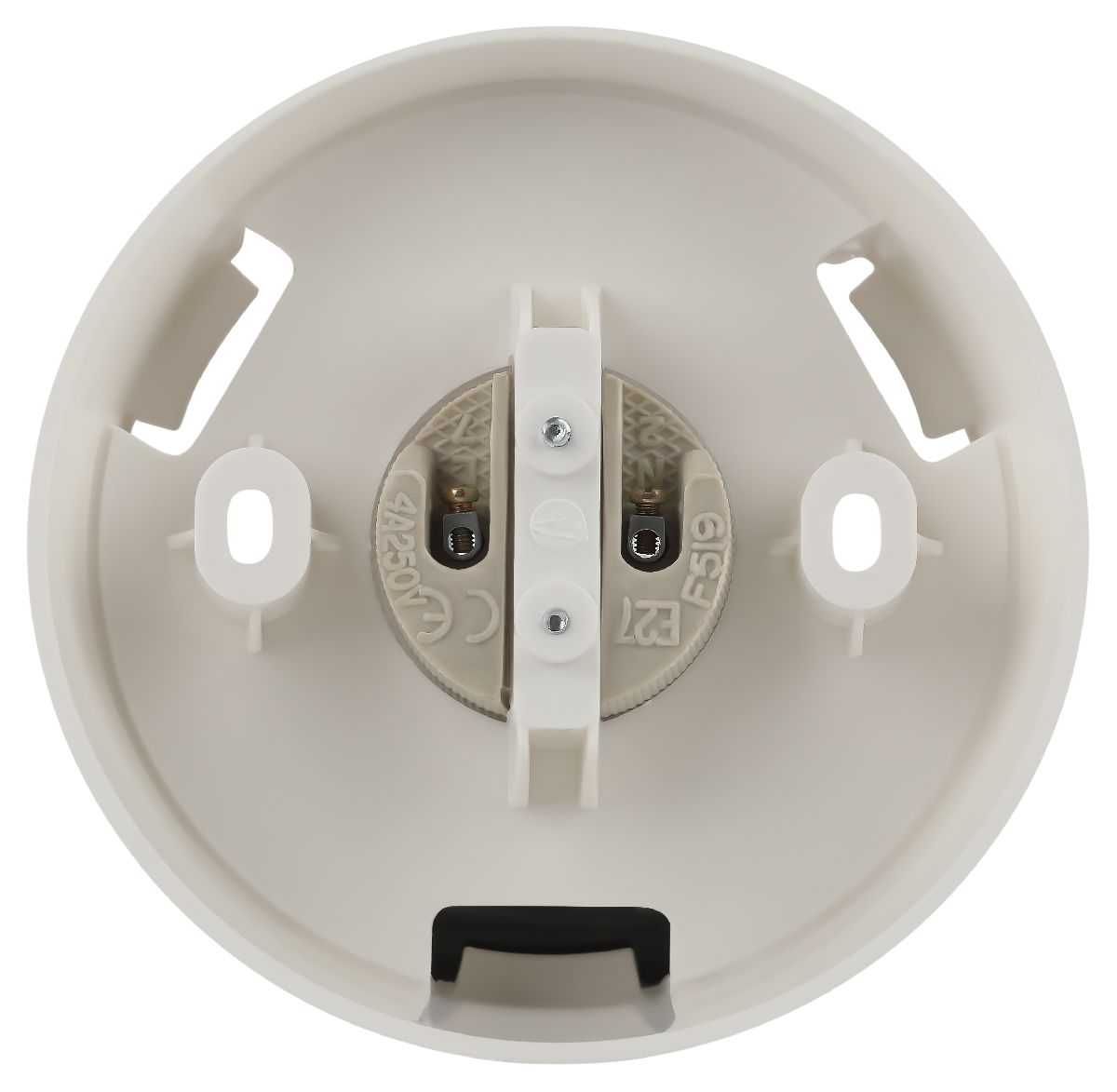 Настенно-потолочный светильник Эра НБП 01-60-004 Б0052011