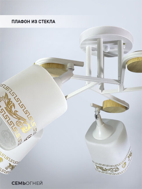 Потолочная люстра Wedo Light Katida WD3550/5C-WT