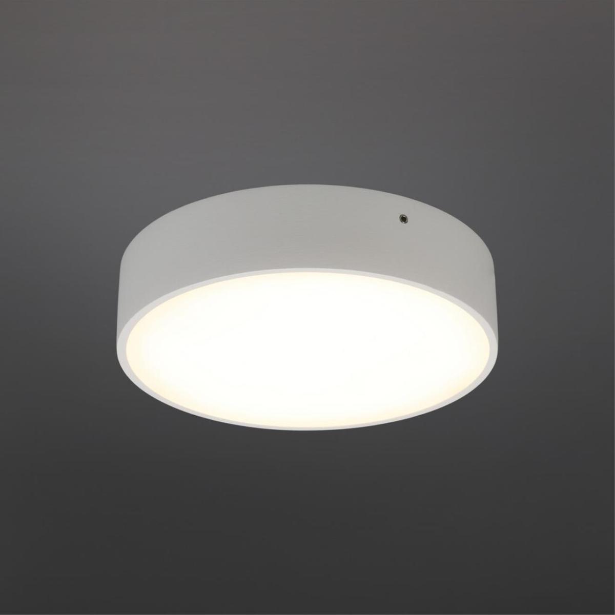 Потолочный светильник Aployt Evon APL.0113.09.18