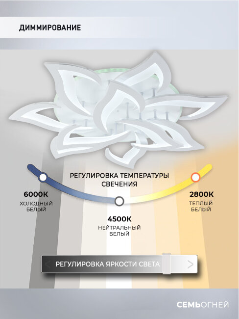Потолочная люстра Seven Fires Lorens SF5018/11C-WT-RGB