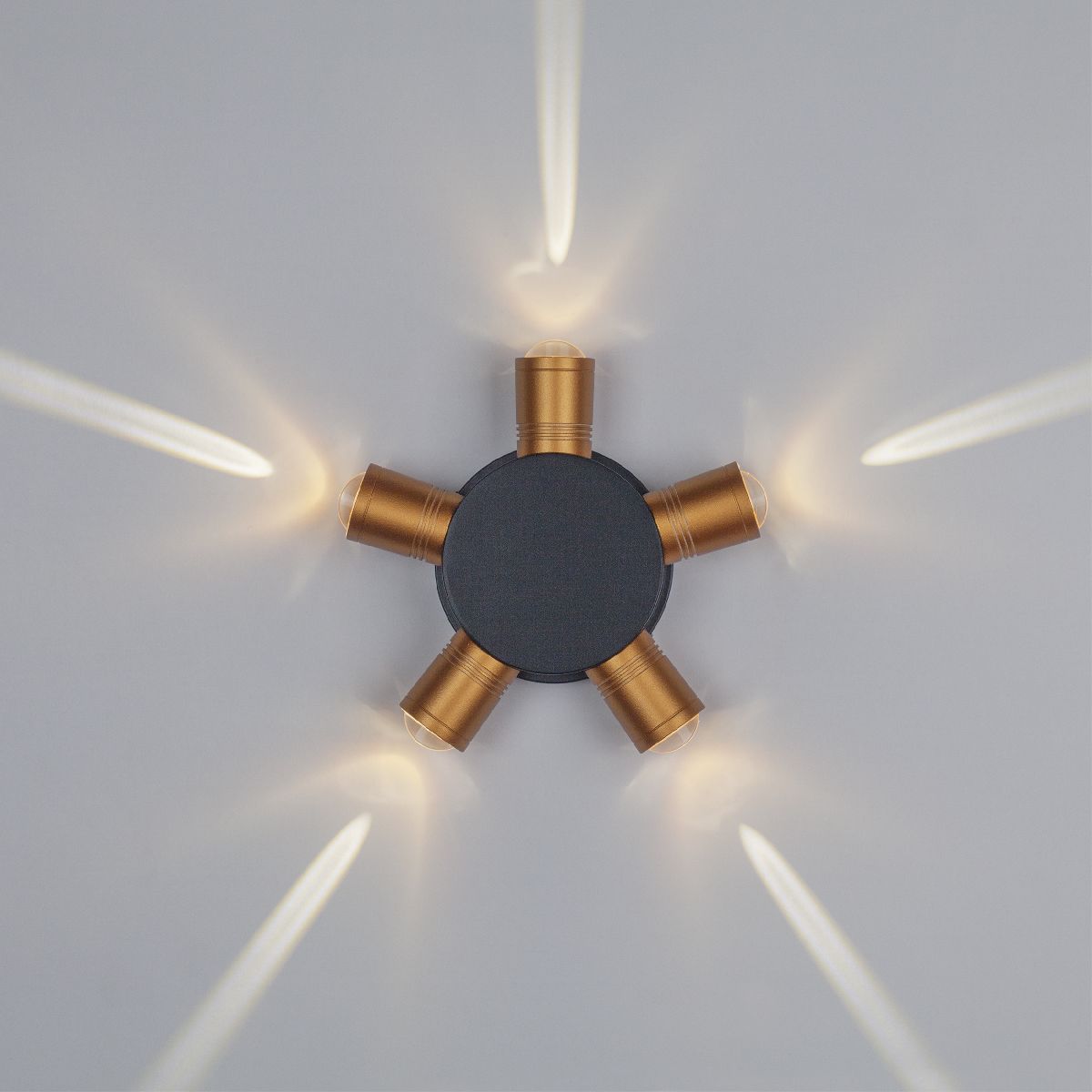 Уличный настенный светильник Lightstar Dito 380653