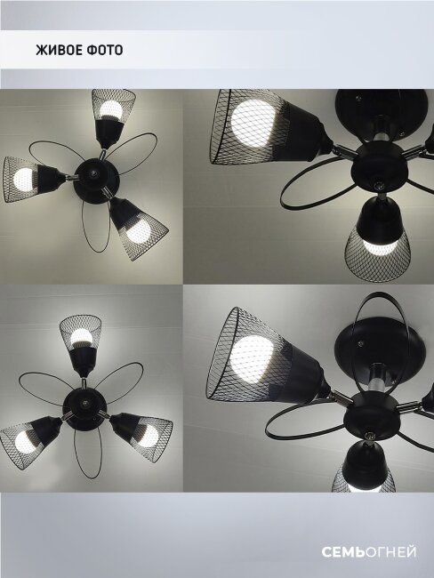 Люстра на штанге Wedo Light Berat WD3525/3C-BK-CR-BK