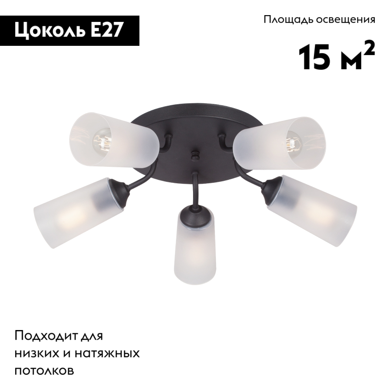 Потолочная люстра Vitaluce V3762-1/5PL