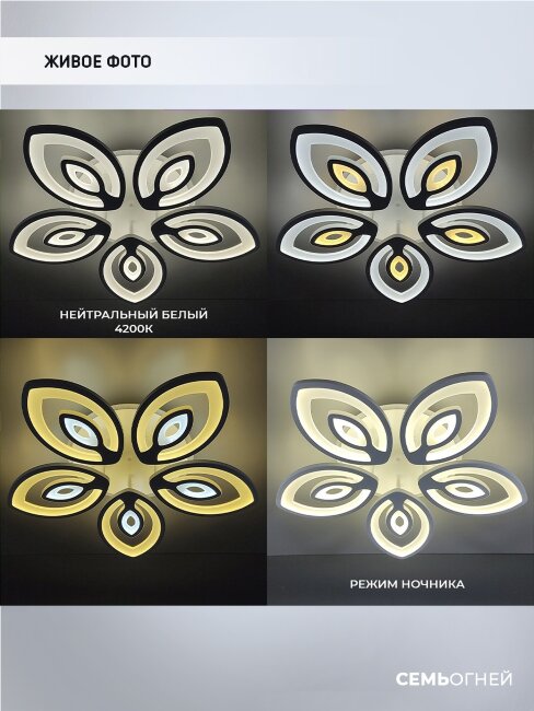 Потолочная люстра Wedo Light Crotone 75334.01.09.05RGB