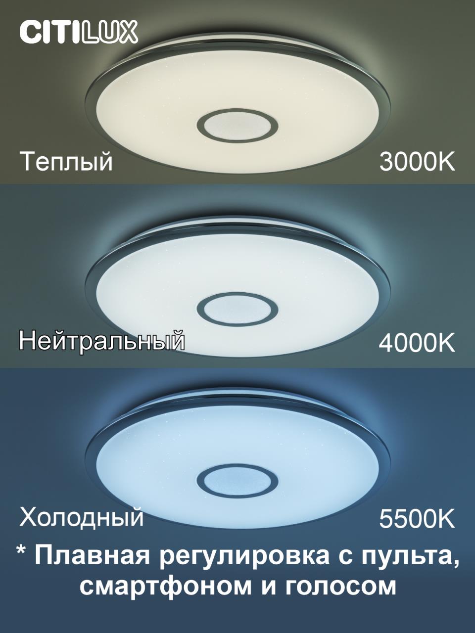 Накладной светильник Citilux CL703A80G