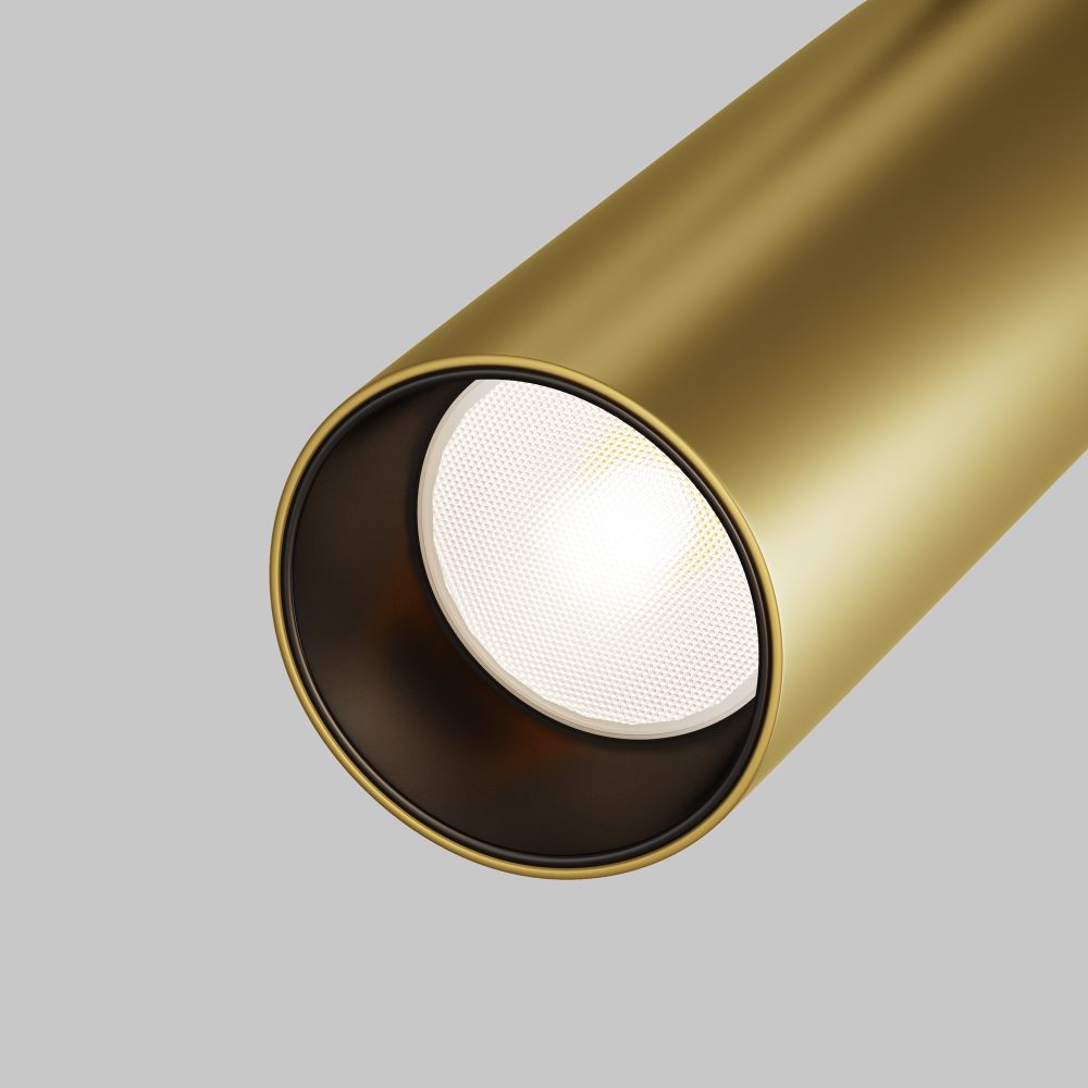 Трековый светильник Maytoni Technical Focus LED TR032-2-12W3K-S-MG