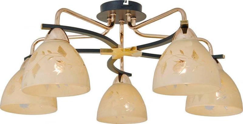 Потолочная люстра Citilux Кристи CL152252