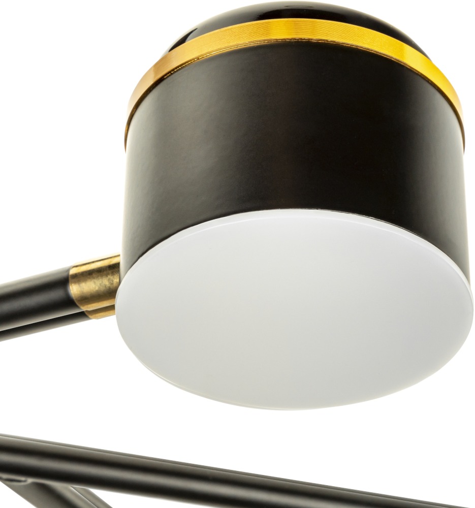 Люстра на штанге Ritter Notte 51596 2