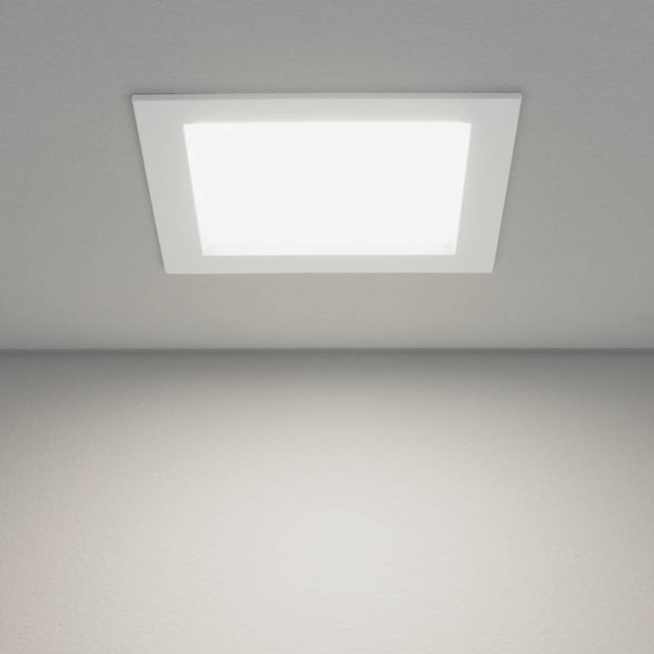 Вcтраиваемый светильник Elektrostandard Down Light 4690389062858