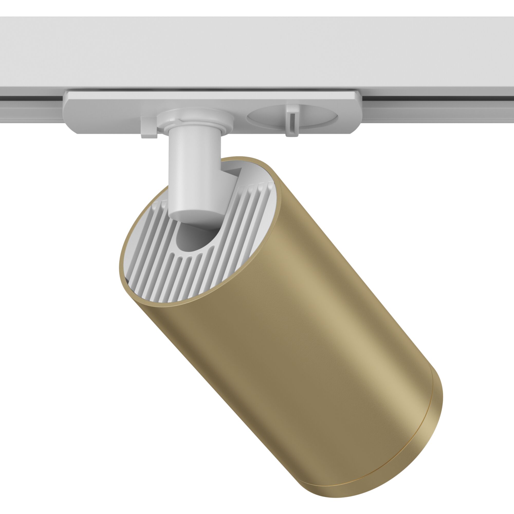 Трековый светильник Maytoni Focus S TR020-1-GU10-WMG