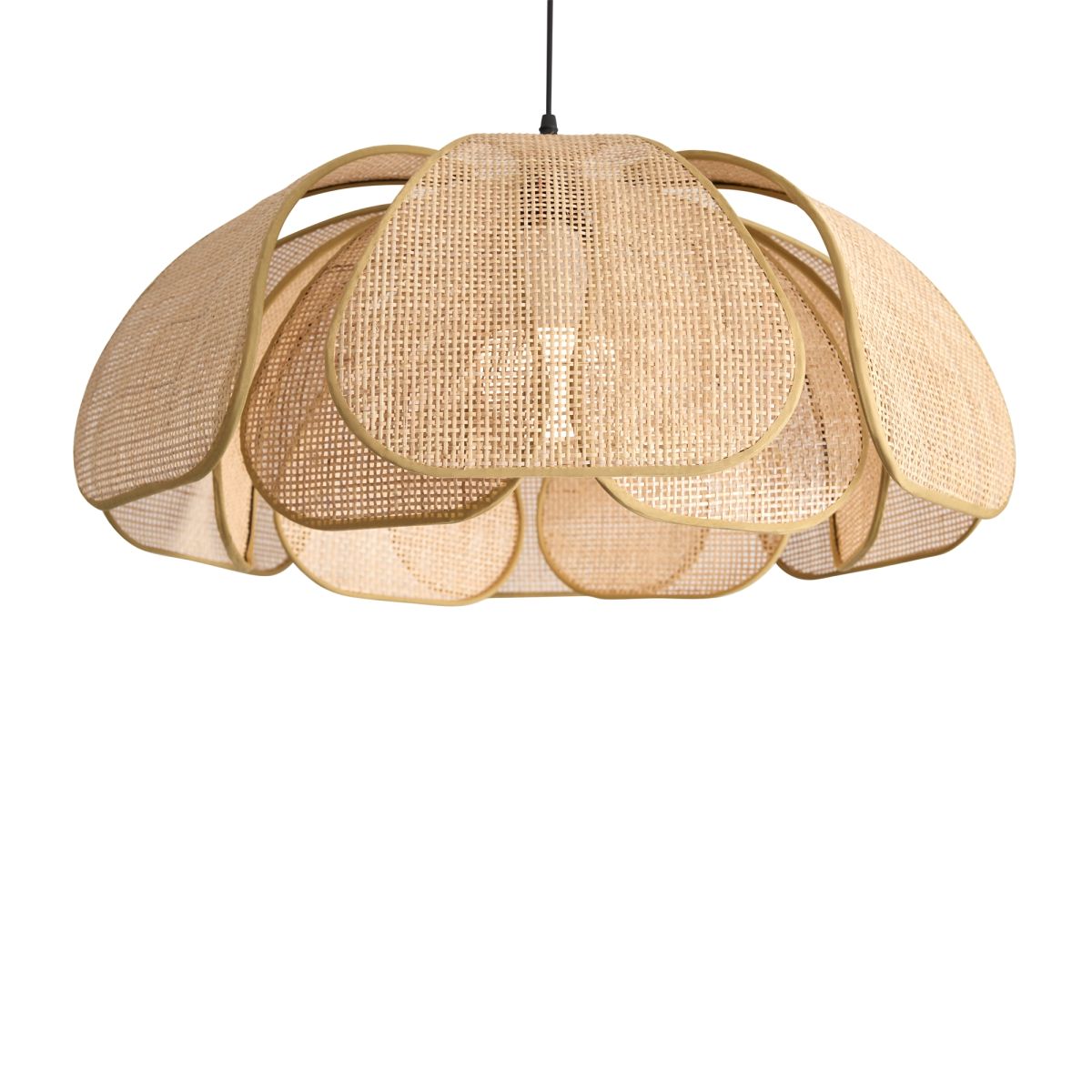 Подвесная люстра Freya Cocoon FR5529PL-01B