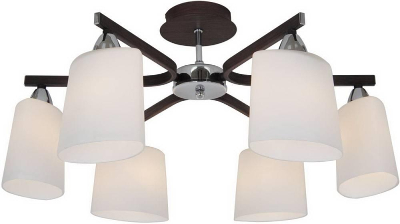 Потолочная люстра Citilux Астра CL138161