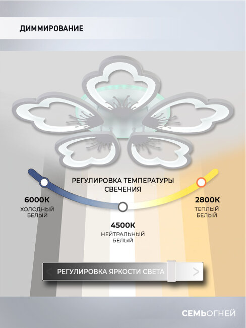 Потолочная люстра Seven Fires Ferenk SF5028/5C-WT-RGB