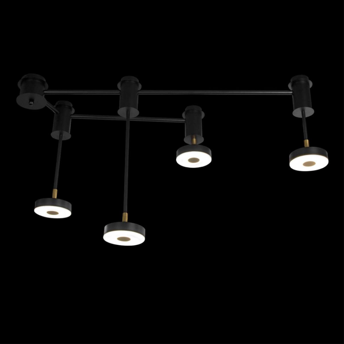 Потолочный светильник Loft IT Flock 10189/1000