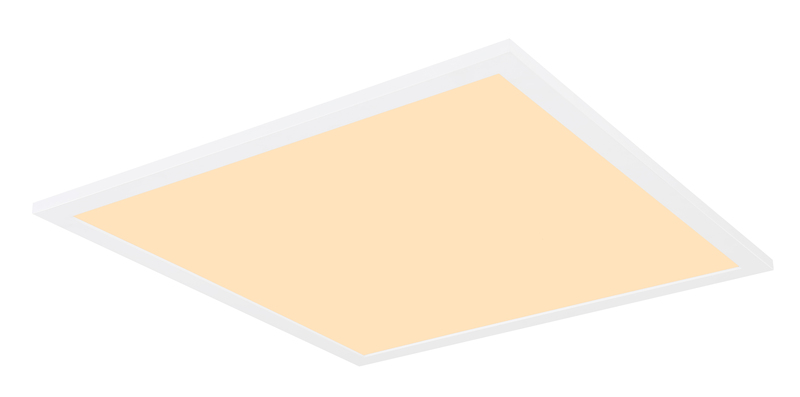 Настенно-потолочный светодиодный светильник Globo Sunao 41597D