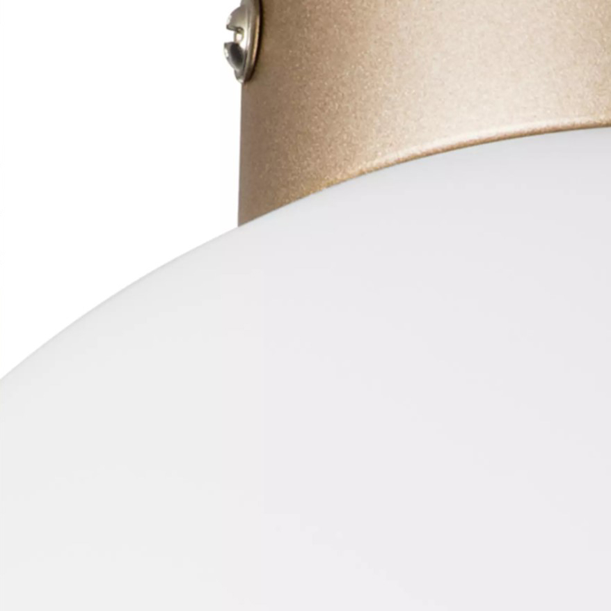 Потолочный светильник Lightstar Globo 812023