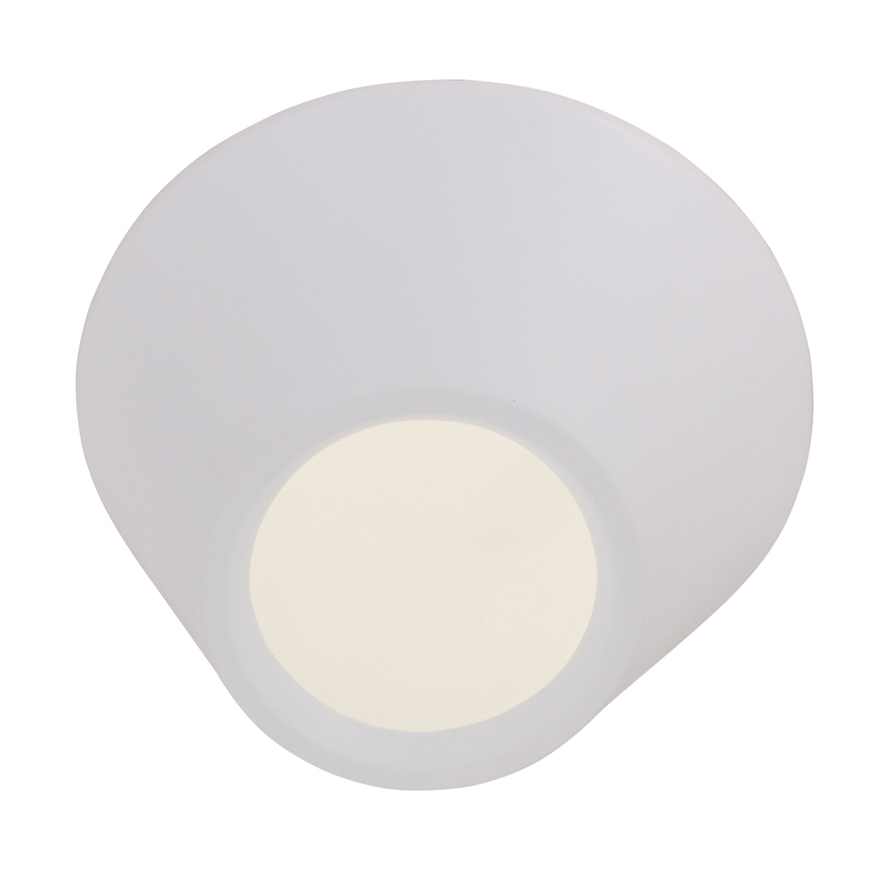 Потолочный светодиодный светильник ST Luce Odierno SL956.052.01