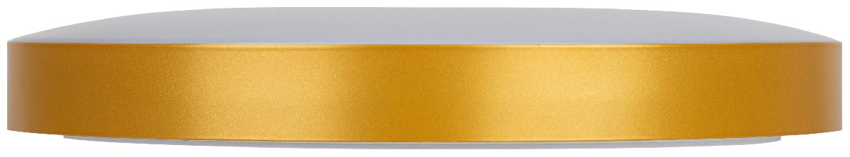 Потолочный светильник Эра Relict 38 SPB-6-40 4К MG Б0059506