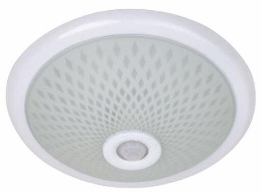 Потолочный светильник Horoz 400-001-112 HRZ00001472