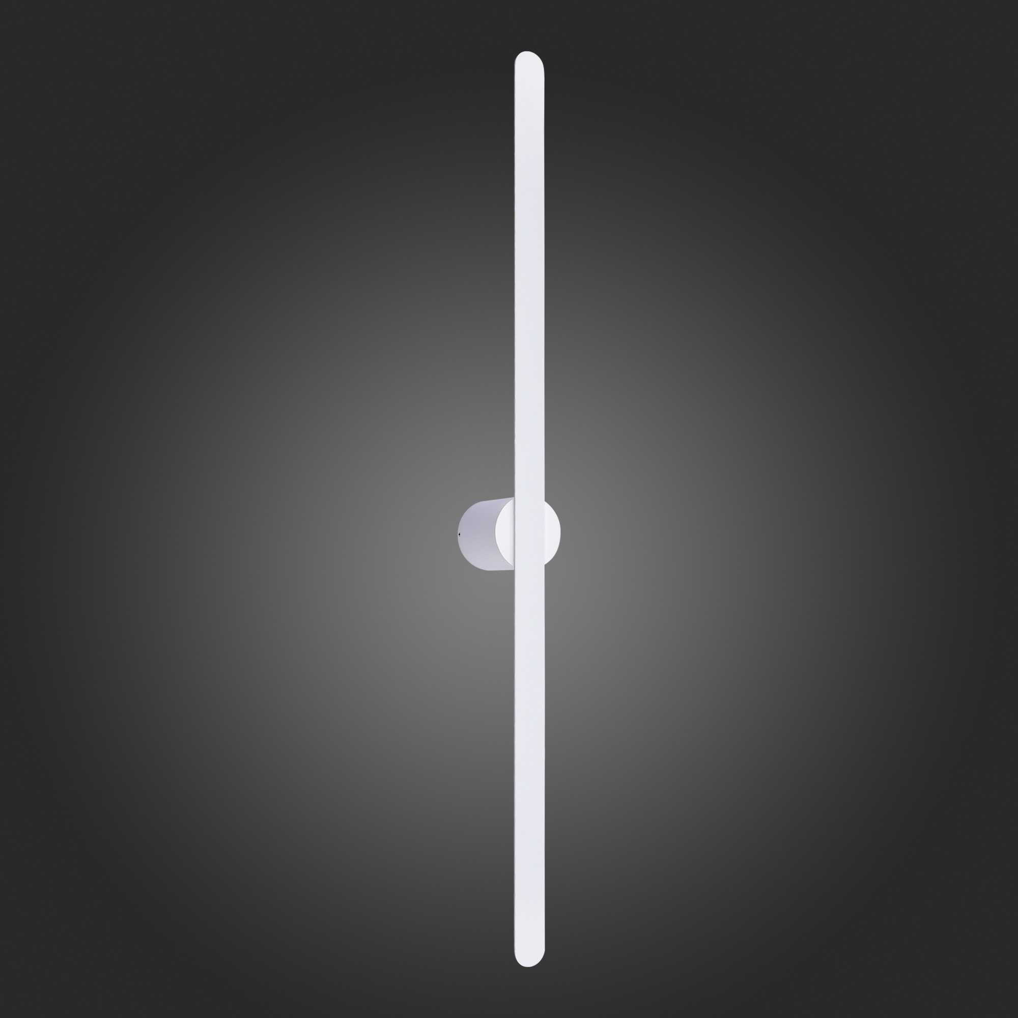 Настенный светильник ST Luce ST607.542.12