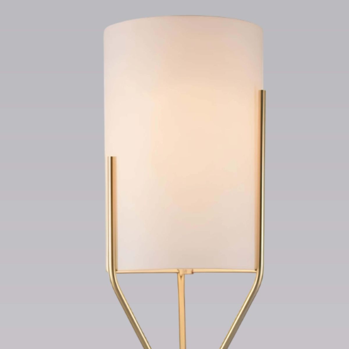 Торшер Alfa Light F0224-16