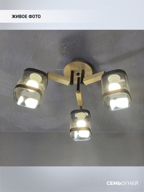 Потолочная люстра Wedo Light Kaleri WD3506/3C-BK-AM