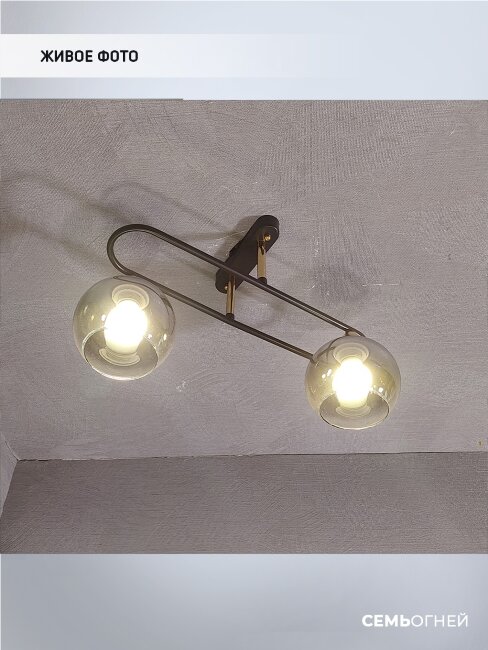 Потолочная люстра Wedo Light Frontino 66667.01.15.02