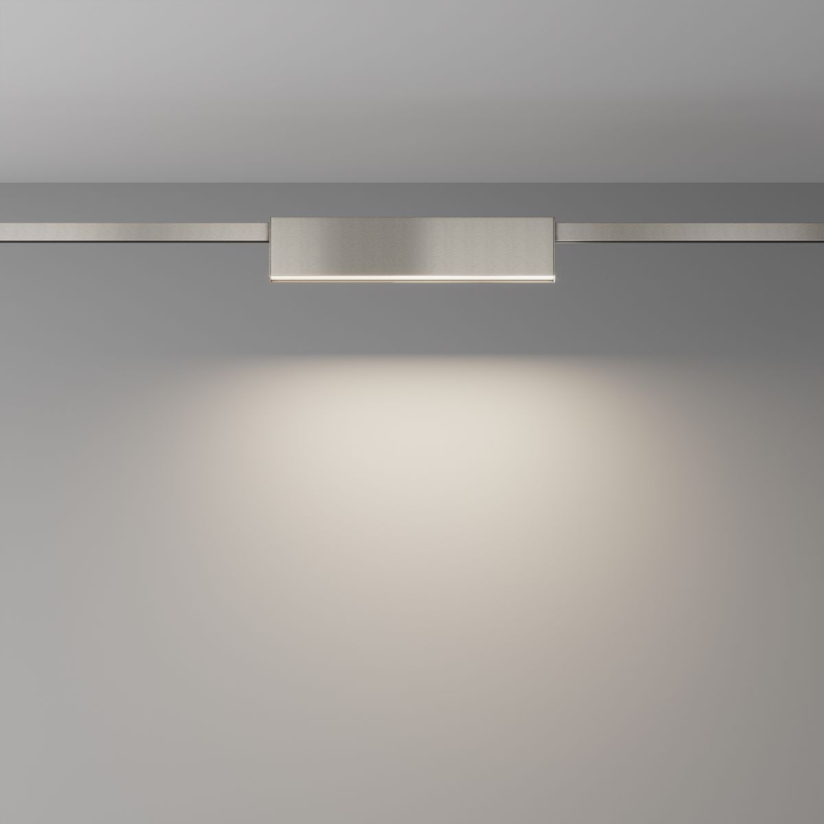 Трековый магнитный светильник Maytoni Basis TR151-1-12W4K-PT